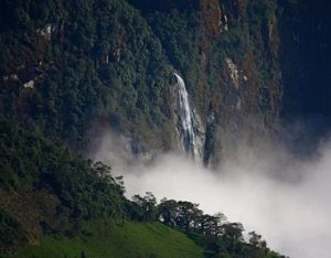 cloud forest waterfall 