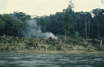 ecuador deforestation